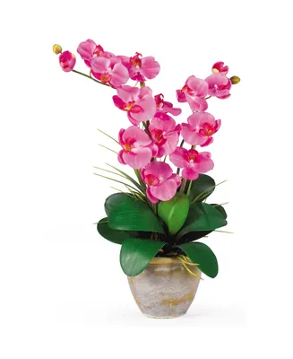 Nearly Natural Double Phalaenopsis Silk Orchid Flower Arrangement
