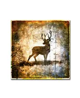 lightbox Journal 'High Country Deer' Canvas Art - 35" x 35" x 2"