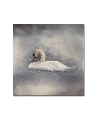 Jai Johnson 'Swan Storm' Canvas Art - 18" x 18" x 2"