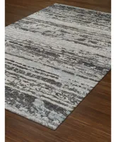 D Style Alanna Ala4 Silver 4'11" x 7' Area Rug