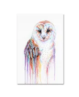 Michelle Faber 'Barred Rainbow Owl' Canvas Art - 19" x 12" x 2"