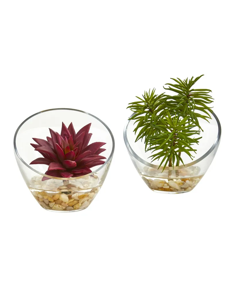 Nearly Natural Succulent Artificial Plant in Slanted Glass Vase (Set of 2)