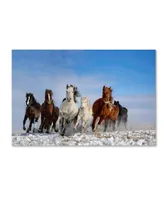 Libby Zhang 'Mongolia Horses' Canvas Art - 19" x 12" x 2"