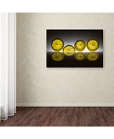 Wieteke de Kogel 'Lemon' Canvas Art - 32" x 22" x 2"