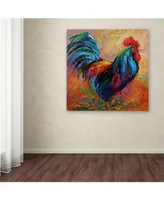 Marion Rose 'Mr T Rooster' Canvas Art - 24" x 24" x 2"