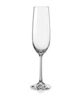 Red Vanilla Viola Fluted Champagne Glass 6.5 Oz, Set of 12