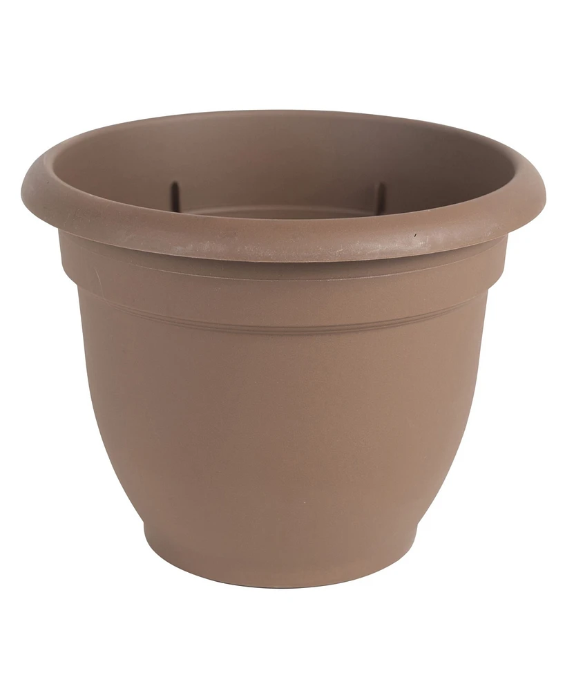Bloem Ariana Planter with Self-Watering Grid, Chocolate - 10 inches