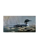 Wilhelm Goebel 'Loon In Reeds' Canvas Art - 16" x 32"