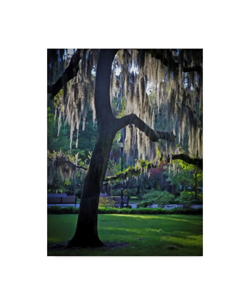 J.d. Mcfarlan 'Forsyth Pk, Savannah' Canvas Art - 14" x 19"