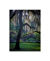 J.d. Mcfarlan 'Forsyth Pk, Savannah' Canvas Art - 14" x 19"