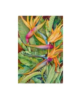 Joanne Porter 'Birds Of Paradise' Canvas Art - 30" x 47"