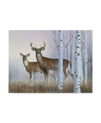 Rusty Frentner 'Deer In Birch Woods' Canvas Art