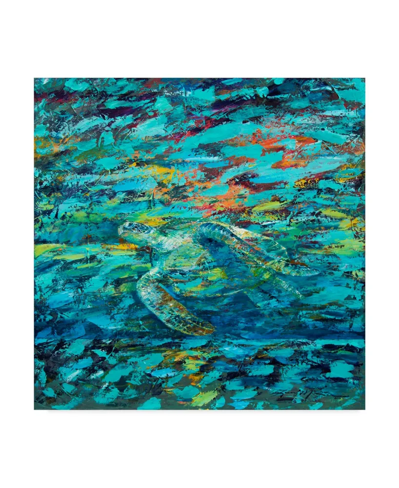 Lucy P. Mctier 'Kemps Ridley Turtle Hidden Treasure' Canvas Art - 35" x 35"