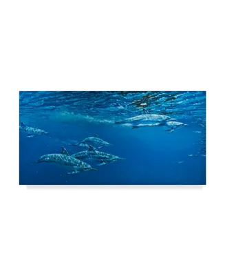 Michael Jackson 'Dolphins In Open Water' Canvas Art - 32" x 16"