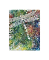 Michelle Faber 'Dragonfly 1' Canvas Art - 35" x 47"