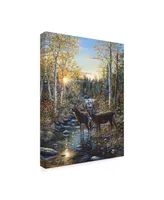 Jeff Tift 'Whitetail Deer' Canvas Art