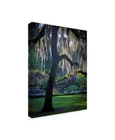 J.d. Mcfarlan 'Forsyth Pk, Savannah' Canvas Art - 14" x 19"