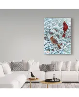 Jeff Tift 'Winter Cardinal Painting' Canvas Art - 24" x 32"