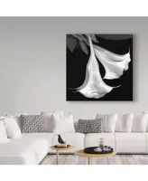 Susan S. Barmon 'Trumpet Flower Black And White' Canvas Art - 24" x 24"