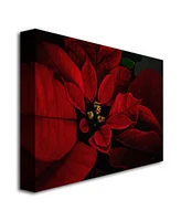 Lois Bryan 'Poinsettia' Canvas Art - 32" x 22"