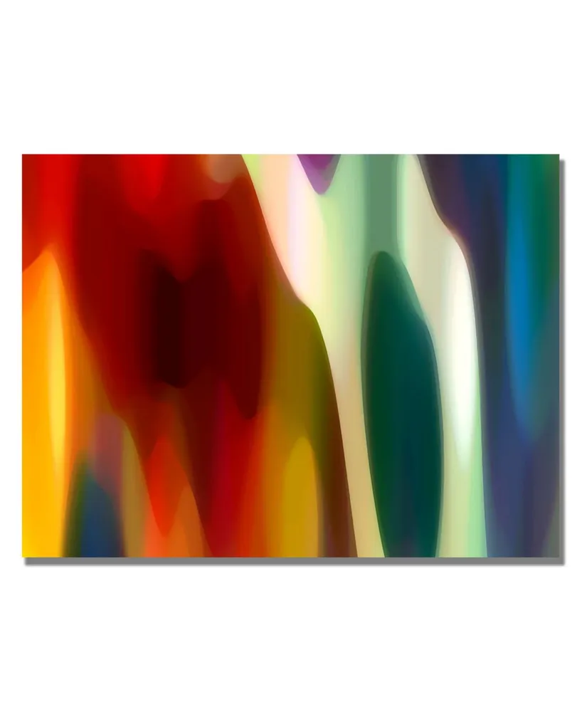 Amy Vangsgard 'Color Fury Iii' Canvas Art - 47" x 30"