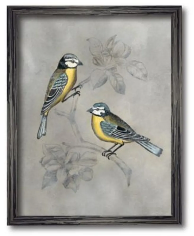 Courtside Market Aviary I Framed Canvas Wall Art Collection