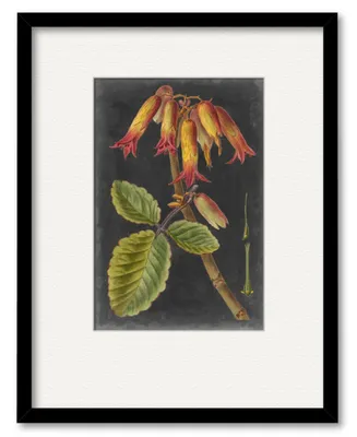 Courtside Market Dramatic Tropicals Iii 16" x 20" Framed and Matted Art