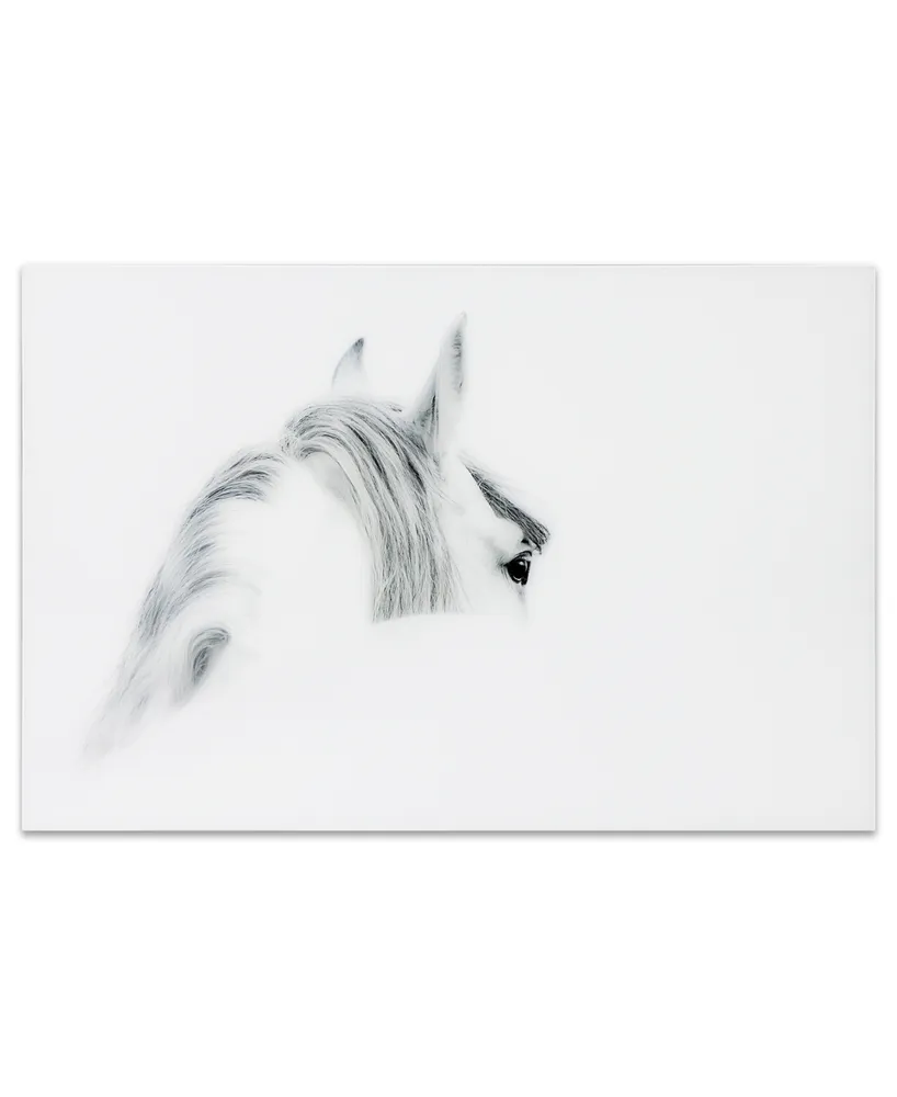 Empire Art Direct 'Blanco Mare Horse' Frameless Free Floating Tempered Glass Panel Graphic Wall Art - 48" x 32''