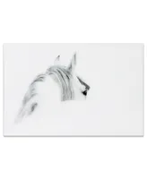 Empire Art Direct 'Blanco Mare Horse' Frameless Free Floating Tempered Glass Panel Graphic Wall Art - 48" x 32''