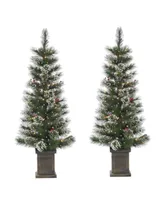 Sterling 4Ft Potted Hard Mixed Needle Loveland Spruce with Iced Tips, Pine Cones, Red Berries and 50 Clear White Lights - Set of 2