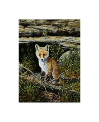 R W Hedge Anticipation Baby Fox Canvas Art - 19.5" x 26"