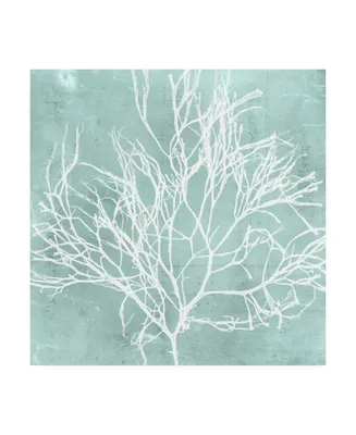 Vision Studio Seaweed on Aqua Ii Canvas Art - 15.5" x 21"