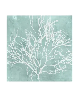 Vision Studio Seaweed on Aqua Ii Canvas Art