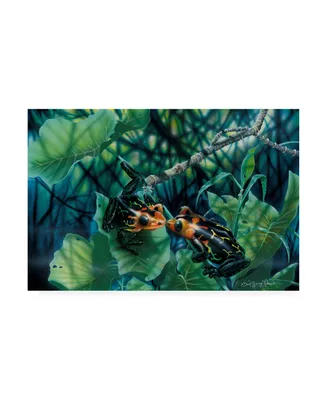 Dann Spider Warren First Kiss Frogs Canvas Art