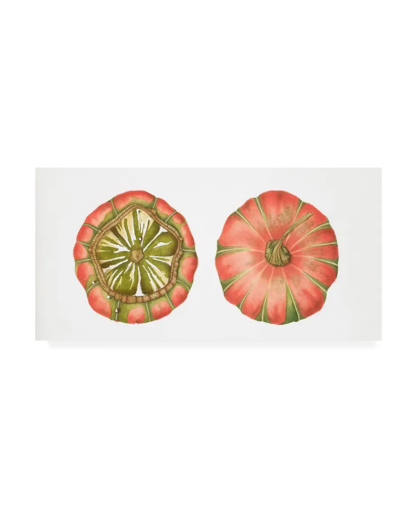 Deborah Kopka Tomatoe Canvas Art - 19.5" x 26"