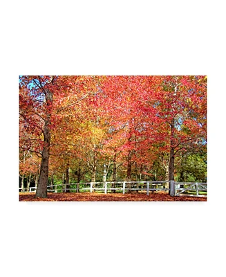 Beata Czyzowska Young Bc Magic of Autumn Canvas Art - 27" x 33.5"