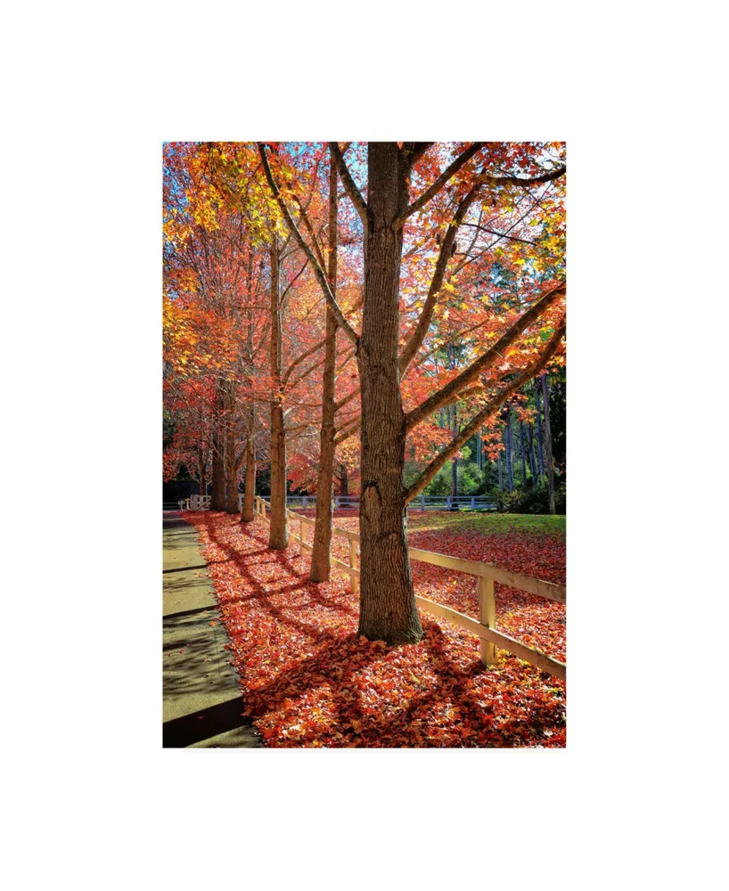 Beata Czyzowska Young Bc Autumn light Canvas Art - 27" x 33.5"