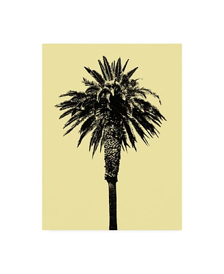 Erik Asl Palm Tree 1996 (Yellow) Canvas Art - 36.5" x 48"