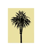 Erik Asl Palm Tree 1996 (Yellow) Canvas Art - 36.5" x 48"