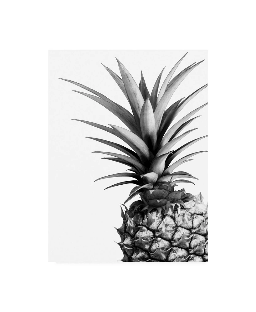 Lexie Gree Pineapple (Bw) Canvas Art - 19.5" x 26"