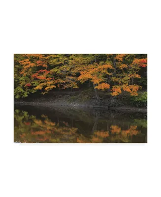 Kurt Shaffer Autumn Reflected Canvas Art