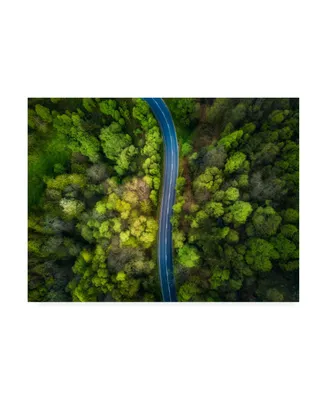 Alfonso Maseda Varela Road in the Forest Canvas Art