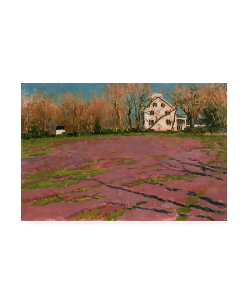 Michael Budden Giligos Field Canvas Art