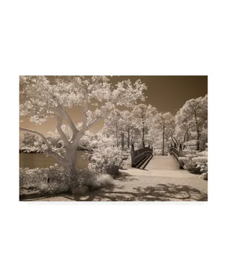 Monte Nagler Bridge and Trees at Japanese Gardens Delray Beach Florida Canvas Art