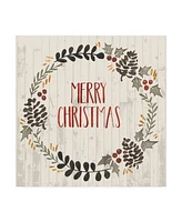 Grace Popp Rustic Christmas Ii Canvas Art - 20" x 25"