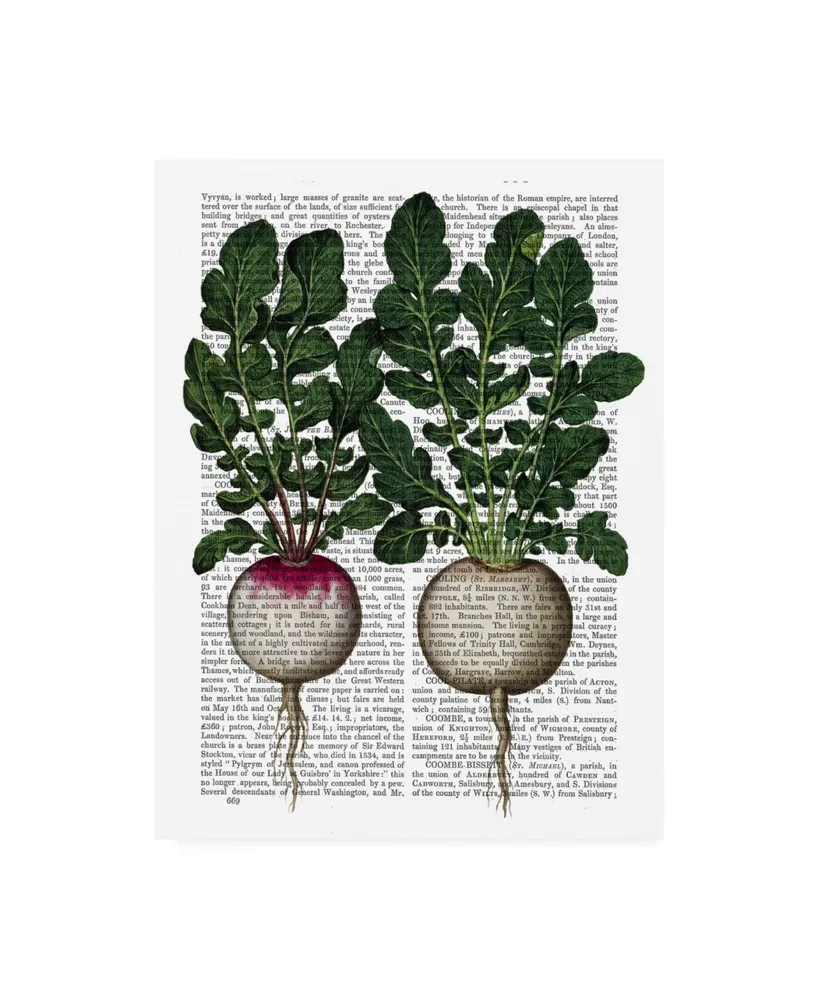 Fab Funky Radishes Print Canvas Art