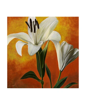 Pablo Esteban White Flower Over Orange Light 1 Canvas Art - 36.5" x 48"