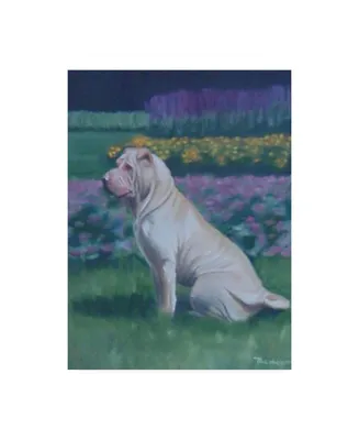 Paul Walsh Dog Pet Canvas Art