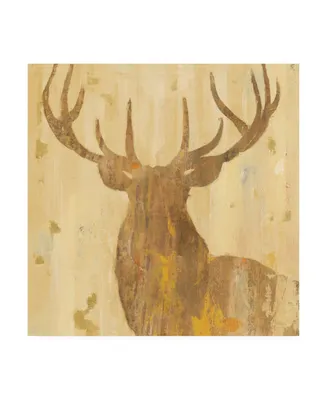 Albena Hristova Golden Antlers Iii Canvas Art