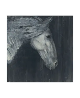 Albena Hristova Midnight Horse Canvas Art